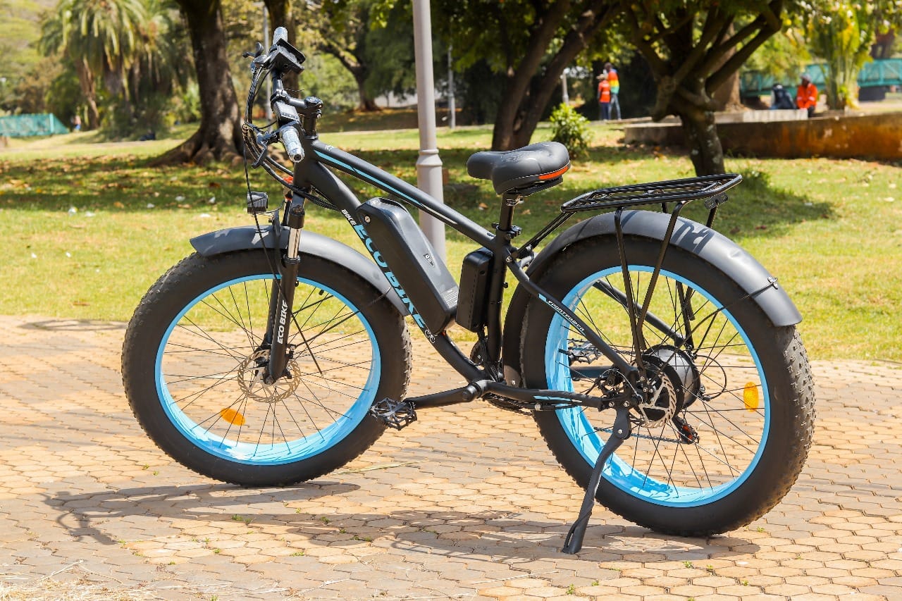 ECO BIKE
