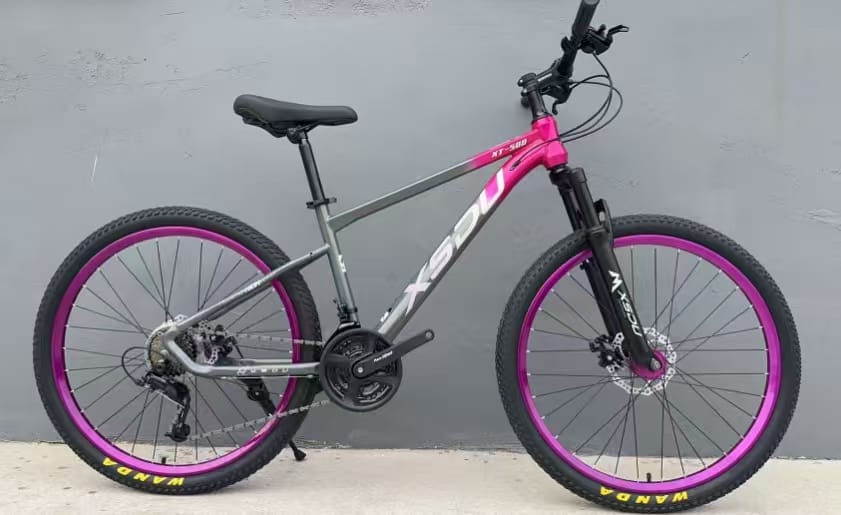 XT 500 image 2