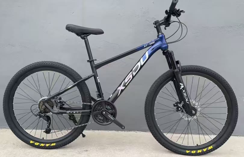 XT 500 image 4