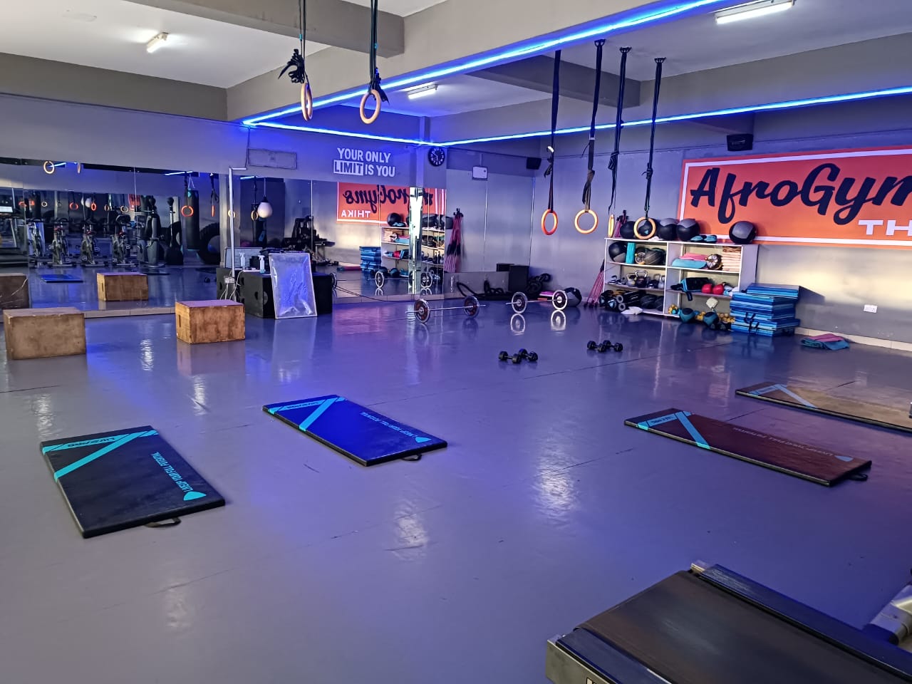 PRO SPORTS LEATHER COVER EXERCISE STRETCH MAT image 2